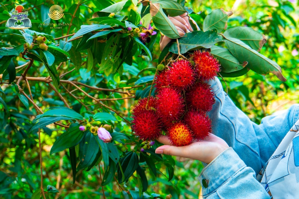Một chuyến đi nhiều trải nghiệm cho cả gia đình tại “thành phố du lịch” Sơn Tiên - 3