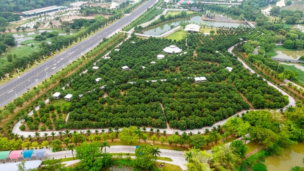 Một chuyến đi nhiều trải nghiệm cho cả gia đình tại “thành phố du lịch” Sơn Tiên - 2