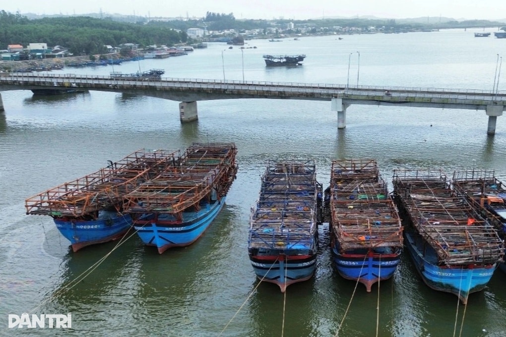 Tàu sân bay mang niềm vui Tết từ Hoàng Sa, Trường Sa về đất liền - 3