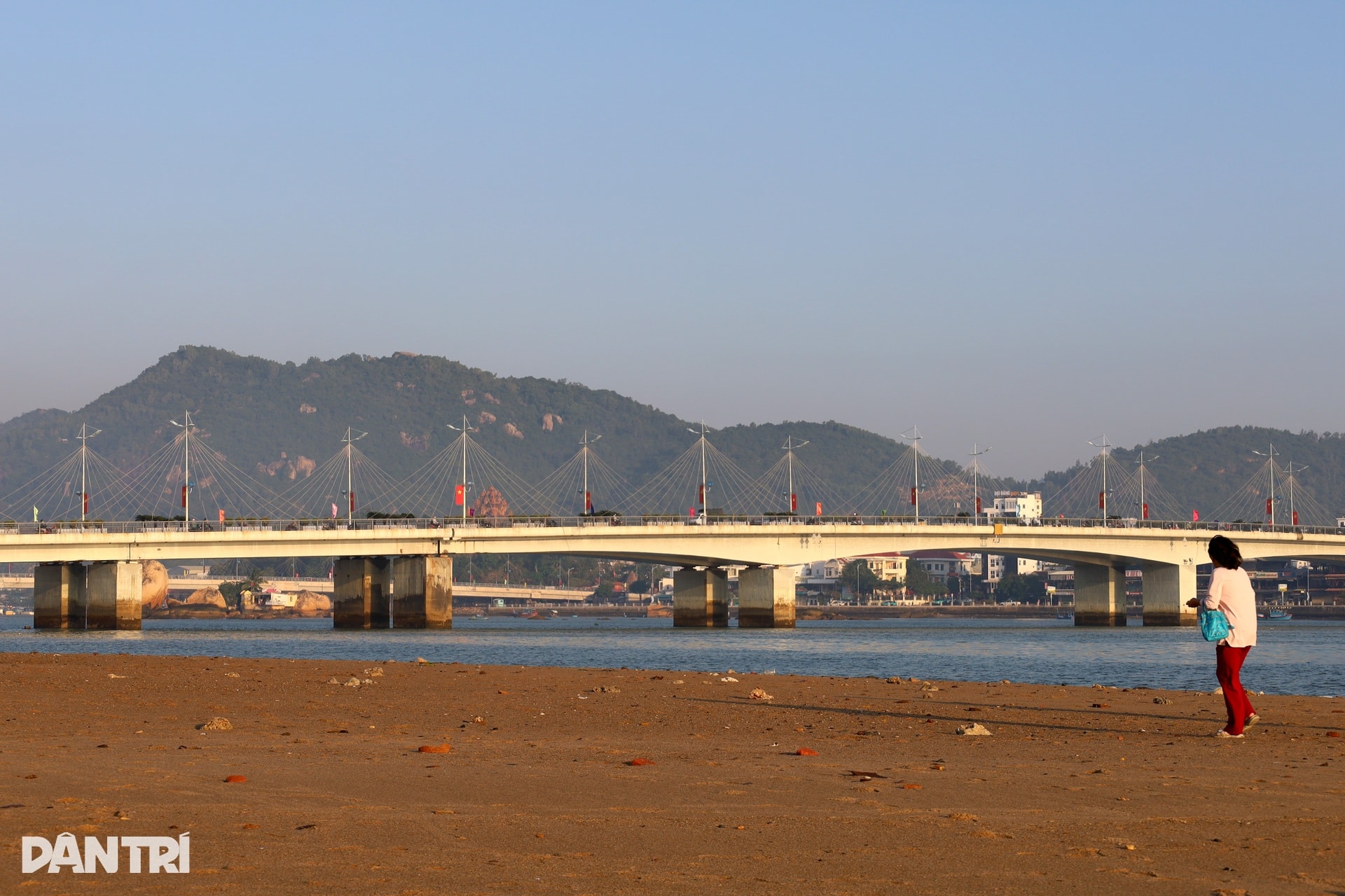 Xuất hiện cồn cát hình cá heo lao ra biển - 9