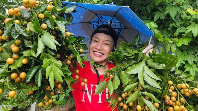 Nghệ sĩ thu hoạch hoa quả mùa hè năm ngoái.