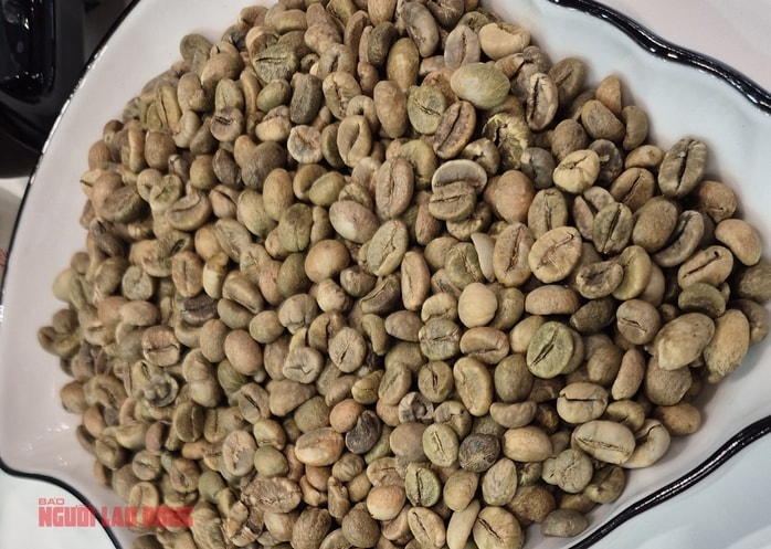 Giá cà phê hôm nay 20 - 1: Tăng nhẹ với Robusta trong bối cảnh thị trường - Ảnh 2.