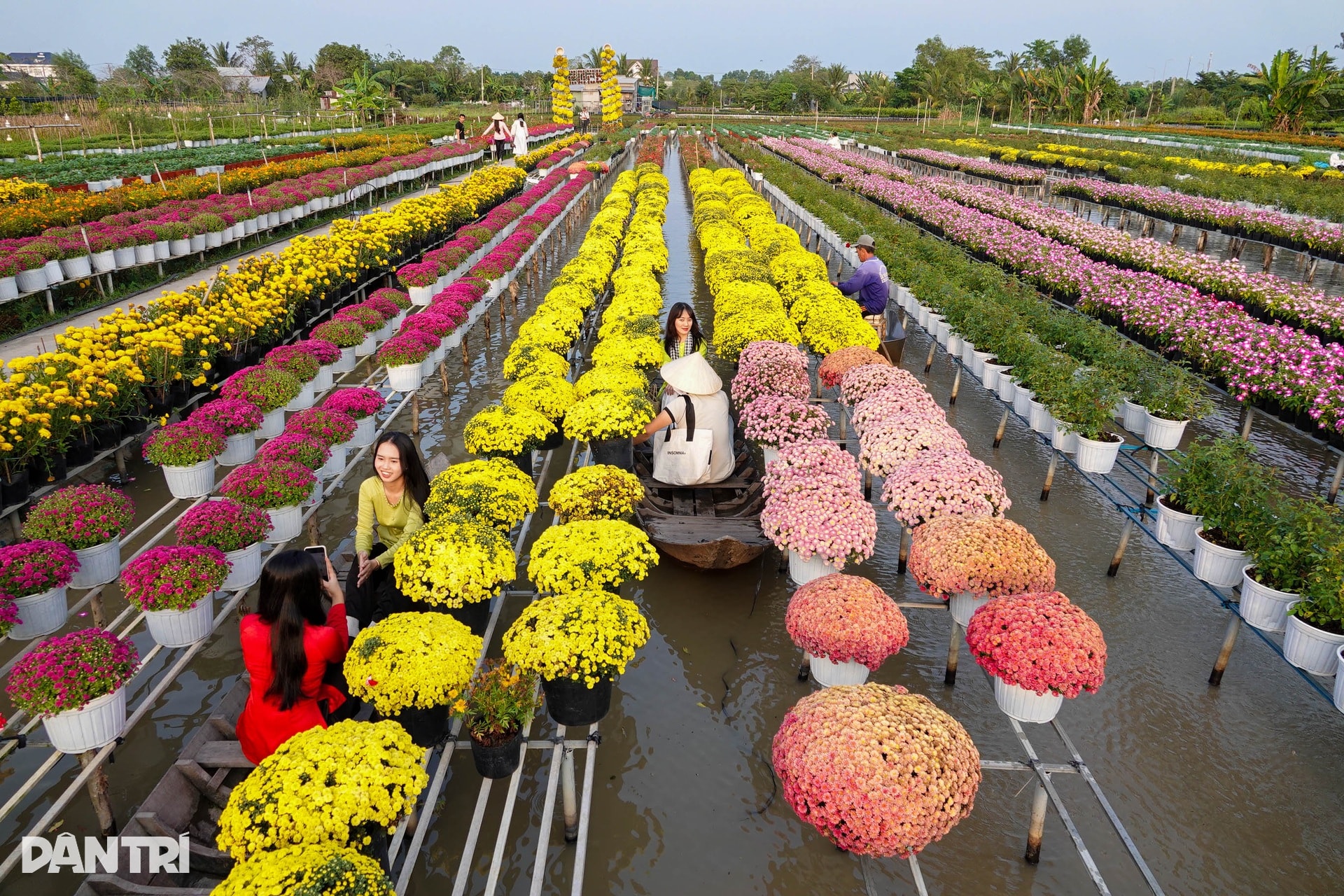 Ông chủ vườn hoa kiểng tăng thu nhập gấp bội với hướng đi mới - 1