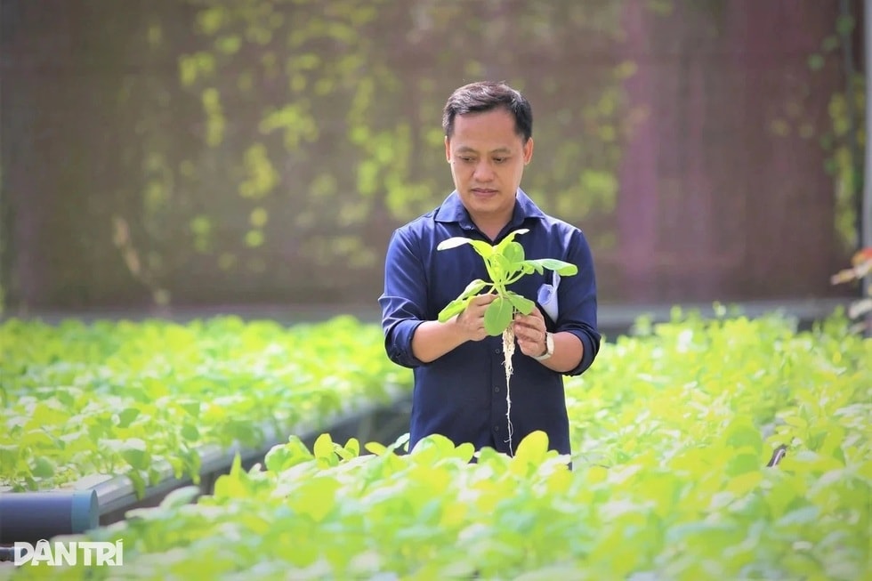 Chàng kỹ sư công nghệ rời phòng lạnh ra ruộng và triết lý “4 không” - 1