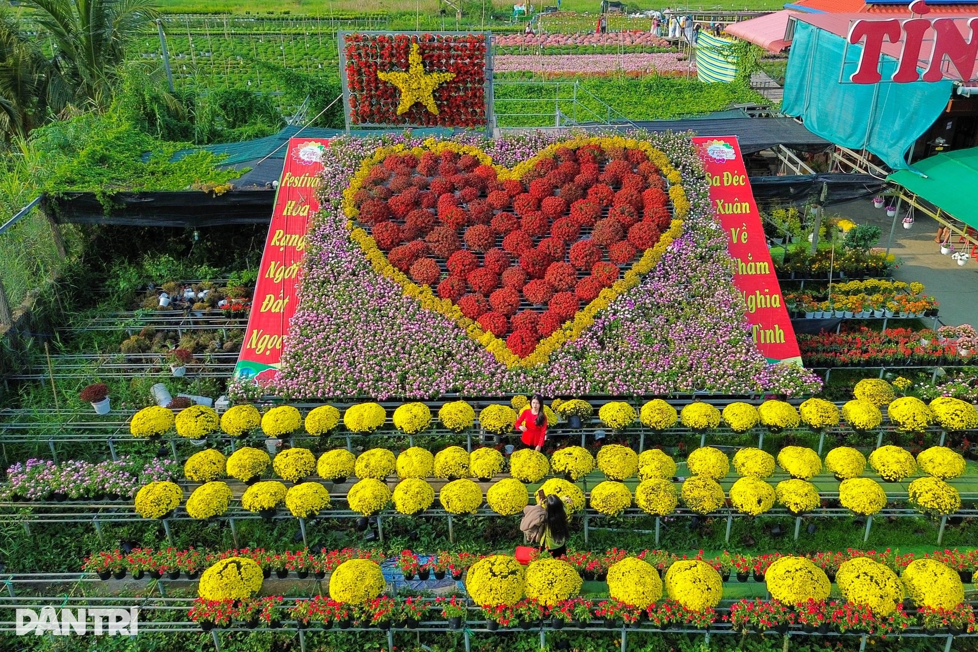 Ông chủ vườn hoa kiểng tăng thu nhập gấp bội với hướng đi mới - 3