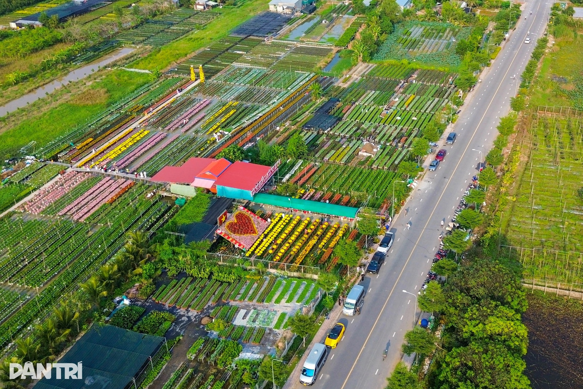 Ông chủ vườn hoa kiểng tăng thu nhập gấp bội với hướng đi mới - 2