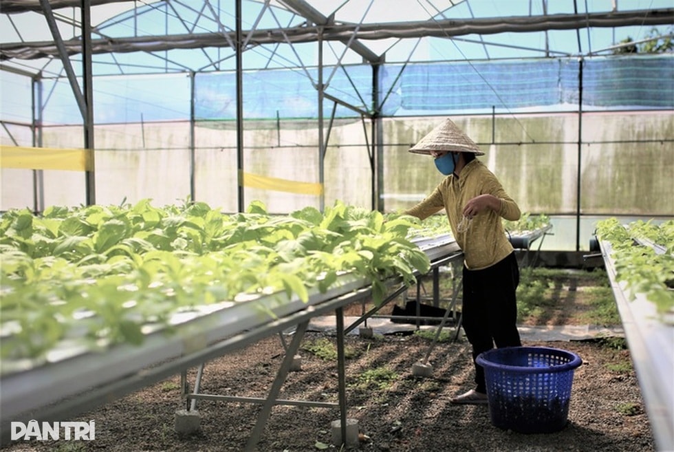 Chàng kỹ sư công nghệ rời phòng lạnh ra ruộng và triết lý “4 không” - 2