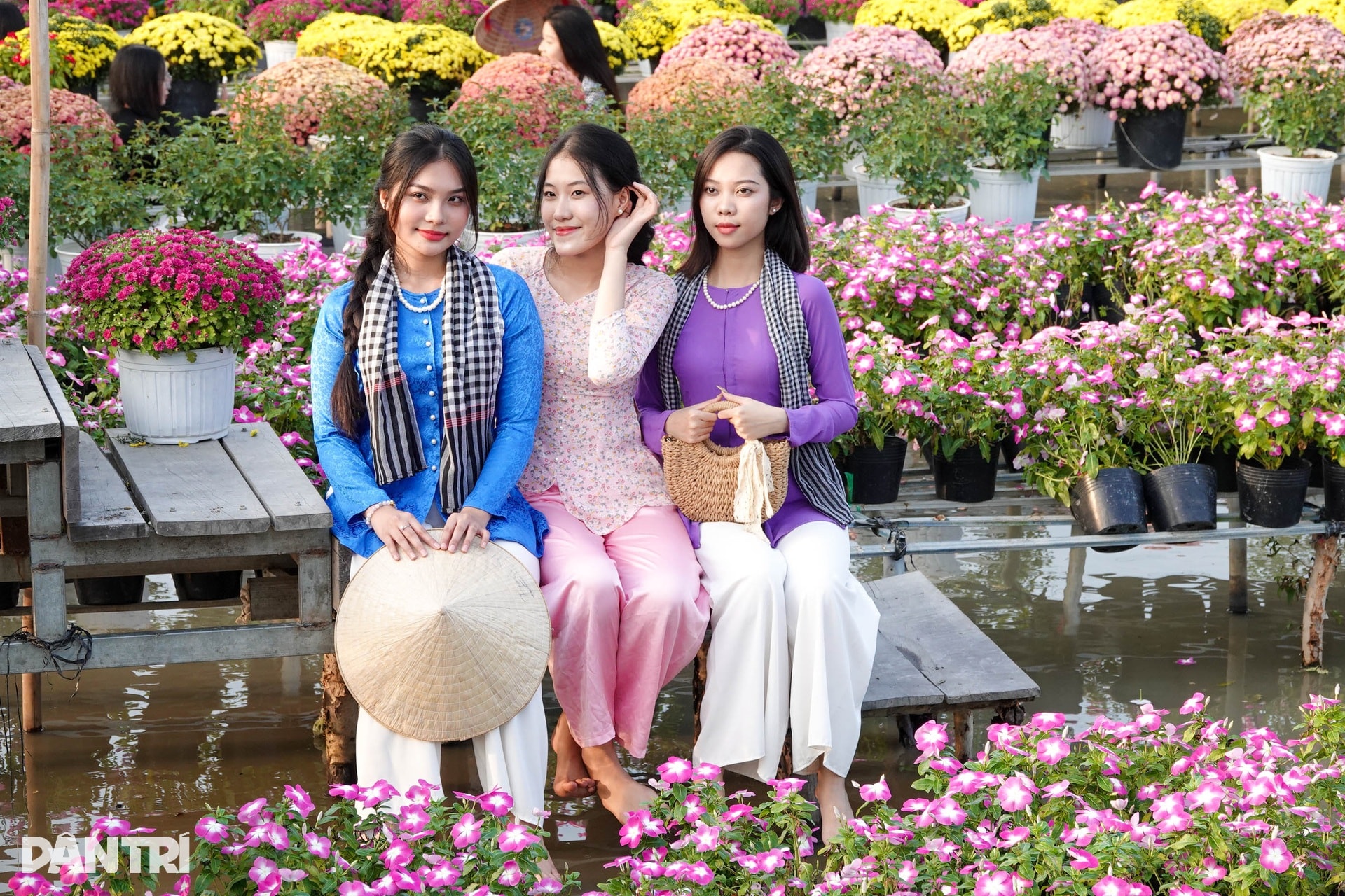 Ông chủ vườn hoa kiểng tăng thu nhập gấp bội với hướng đi mới - 10