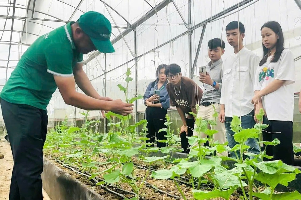 Chàng kỹ sư công nghệ rời phòng lạnh ra ruộng và triết lý “4 không” - 3