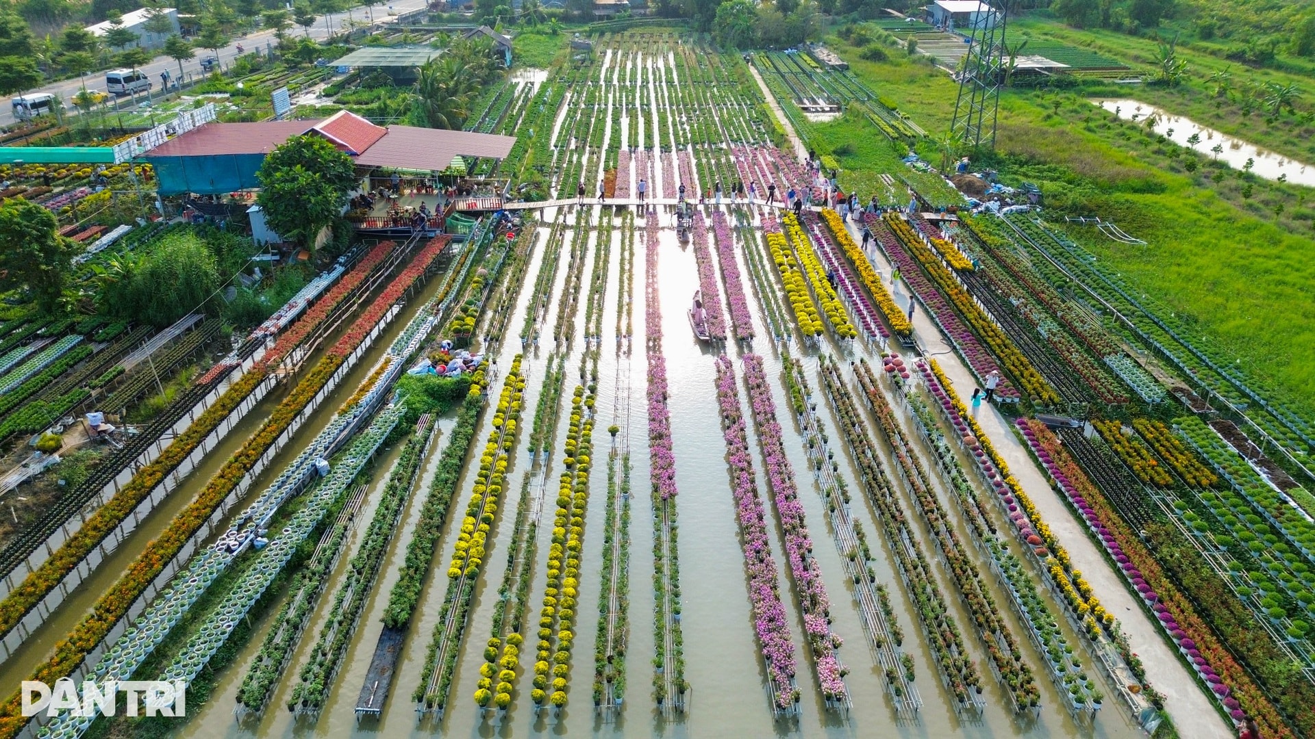 Ông chủ vườn hoa kiểng tăng thu nhập gấp bội với hướng đi mới - 14