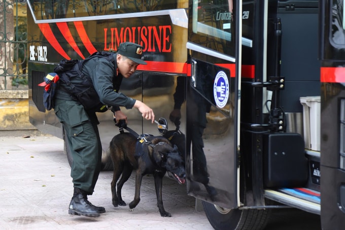 Chó nghiệp vụ kiểm tra phương tiện đi lại. Ảnh: Linh Đan