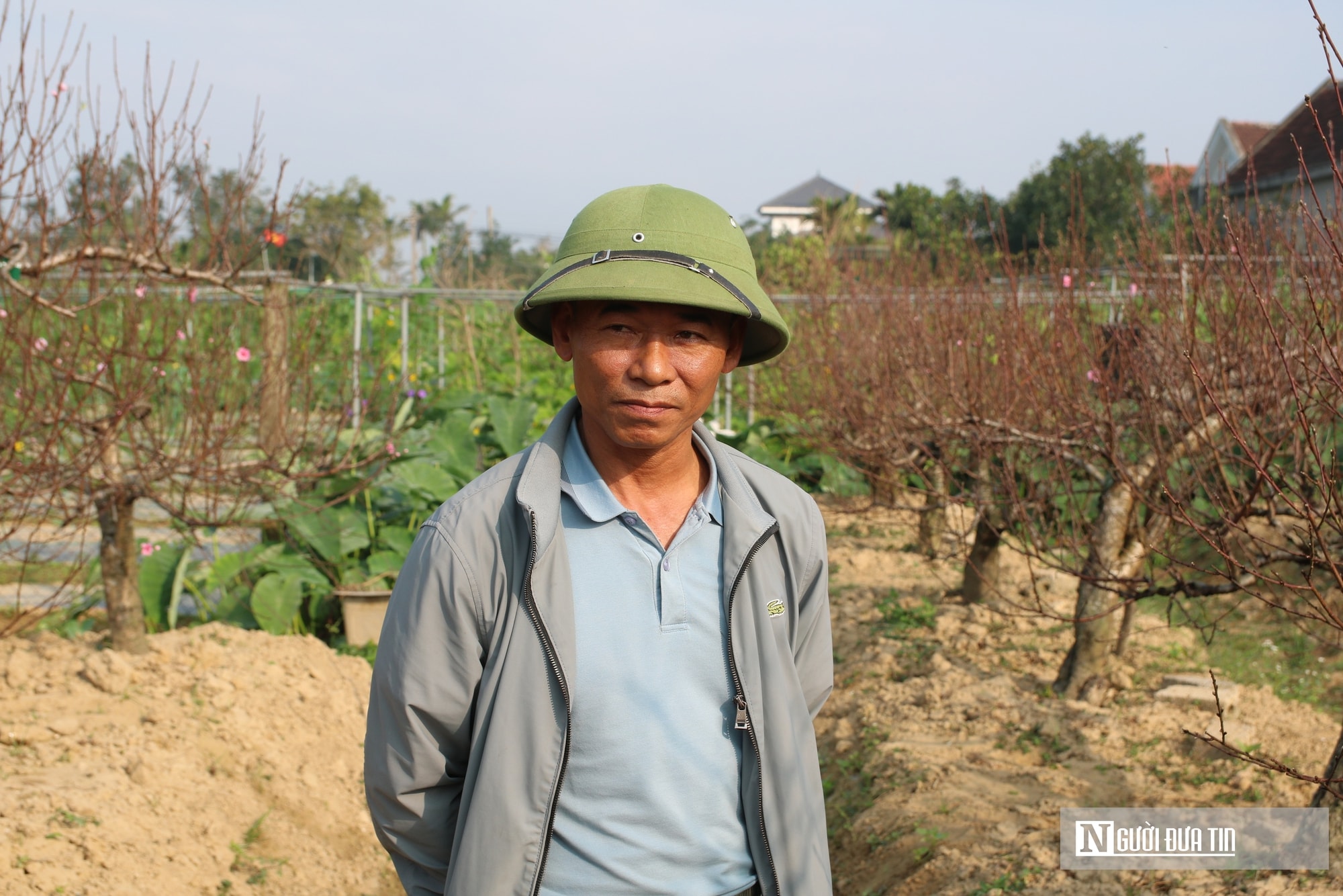 Anh nông dân bỏ túi nửa tỷ đồng nhờ dịch vụ chăm sóc và cho thuê đào Tết - Ảnh 9.