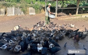 Anh nông dân bỏ túi nửa tỷ đồng nhờ dịch vụ chăm sóc và cho thuê đào Tết - Ảnh 13.