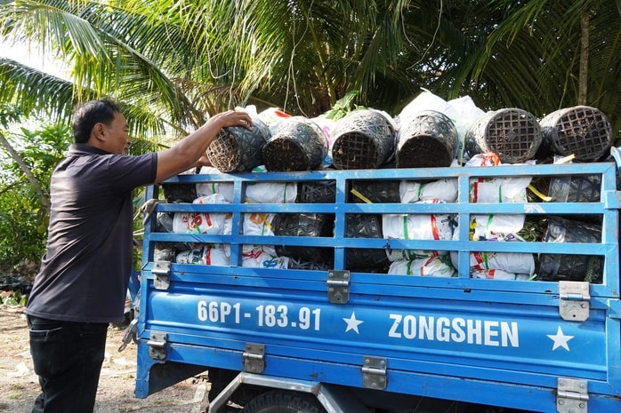 Cộng đồng hỗ trợ tiêu thụ cúc mâm xôi nở sớm cho nhà vườn miền Tây - Ảnh 3.