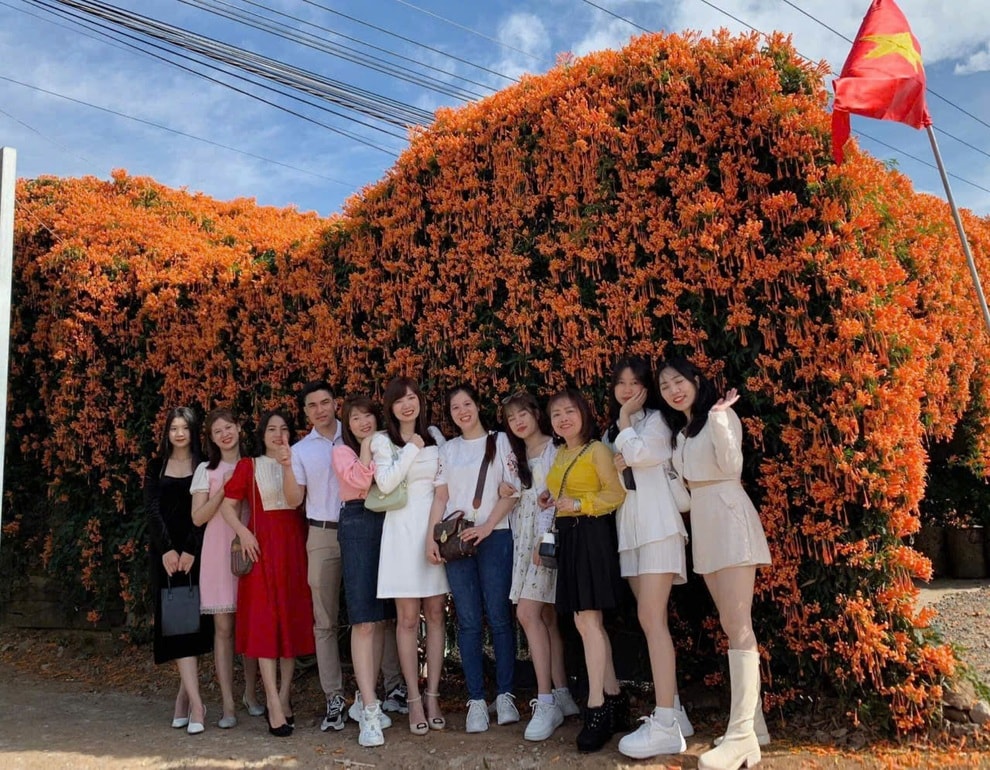 Ngôi nhà hoa xác pháo phủ kín như mái rèm che phủ ở Lâm Đồng lại gây sốt - 4