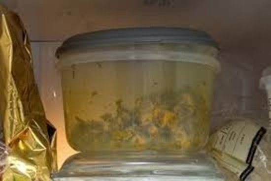 Hộp cà ri trong tủ lạnh. Ảnh: Ealing Times