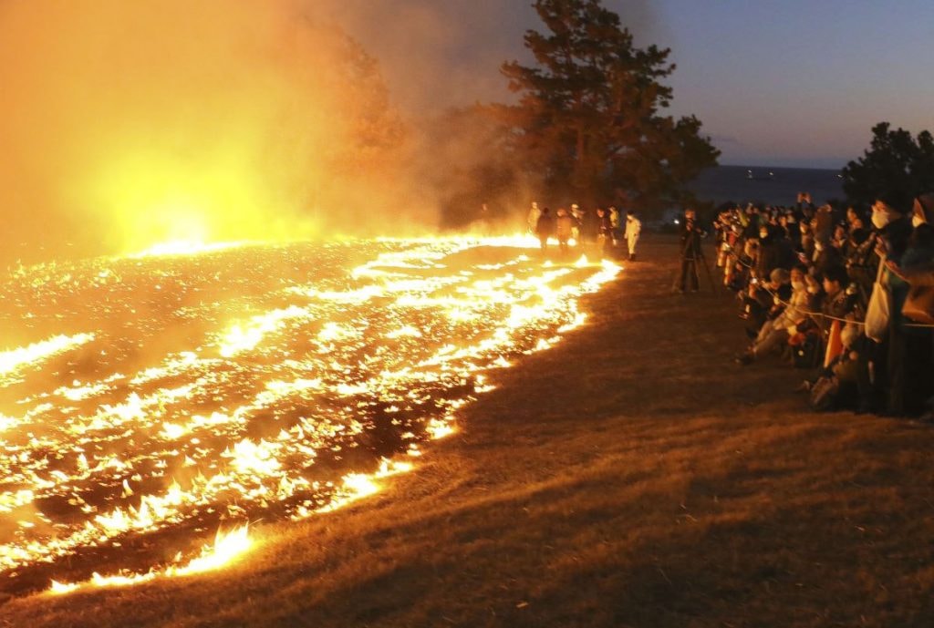 Hàng nghìn người đổ xô đi check in đồng cỏ cháy ở Nhật Bản
