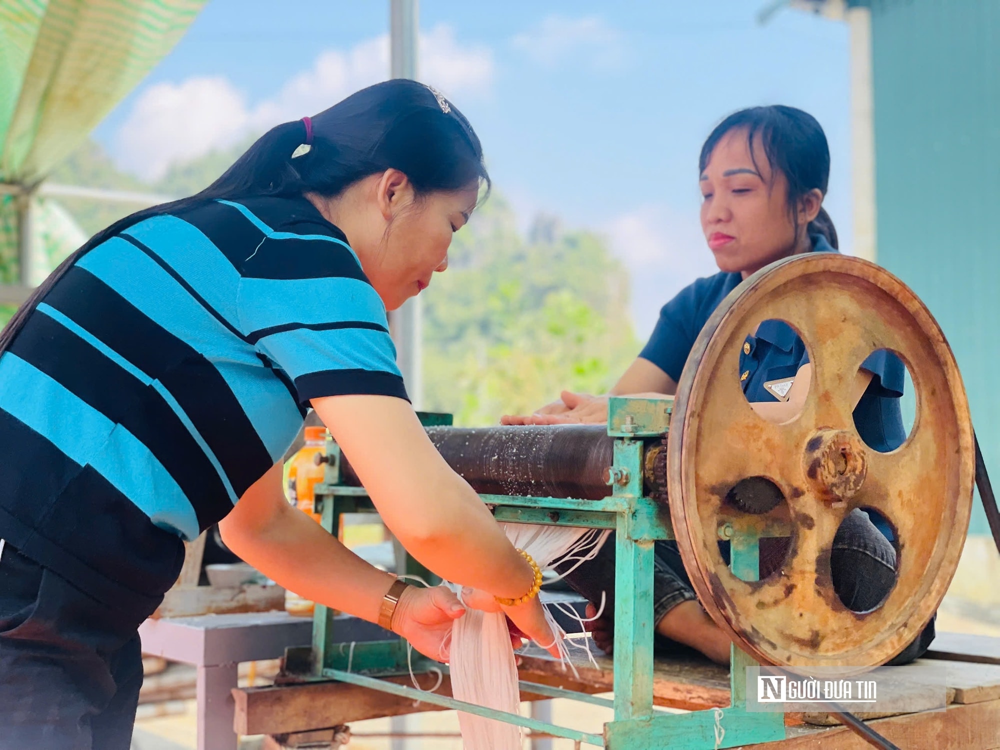 Kỳ vọng Tết no ấm, làng miến dong Cẩm Thạch tất bật vào vụ lớn nhất năm - Ảnh 7.