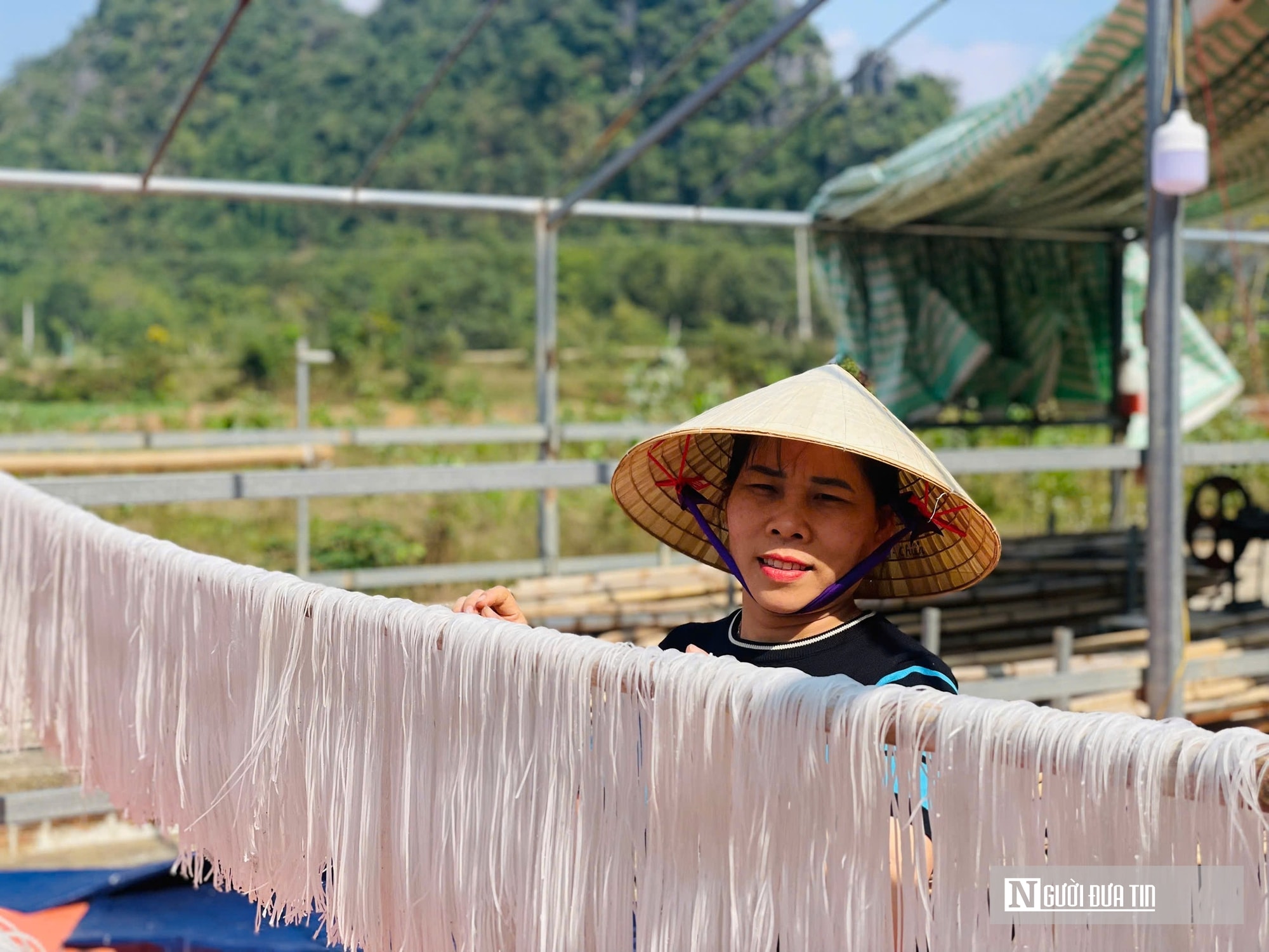 Kỳ vọng Tết no ấm, làng miến dong Cẩm Thạch tất bật vào vụ lớn nhất năm - Ảnh 11.