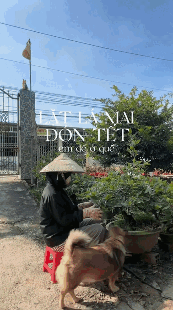 "Đặc sản Tết" không thể thiếu của người miền Tây - Ảnh 2.