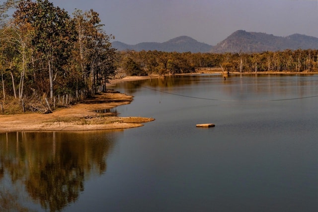 Mê mẩn với rừng khộp lớn nhất Việt Nam vào mùa thay lá - Ảnh 7.