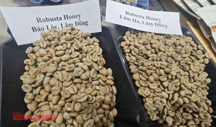 Giá cà phê hôm nay 22 - 1: Robusta tăng vọt 3 con số bất ngờ - Ảnh 2.