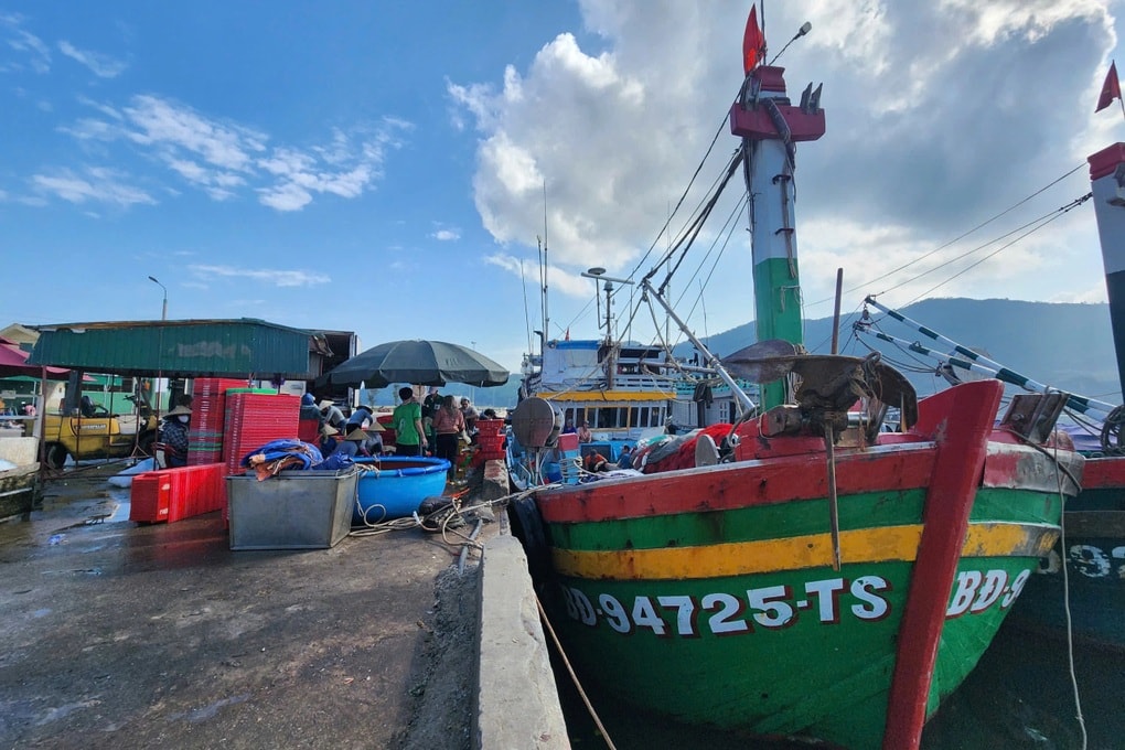 Liên tiếp trúng đậm loài cá biển mình rồng, ngư dân bỏ túi tiền tỷ - 1