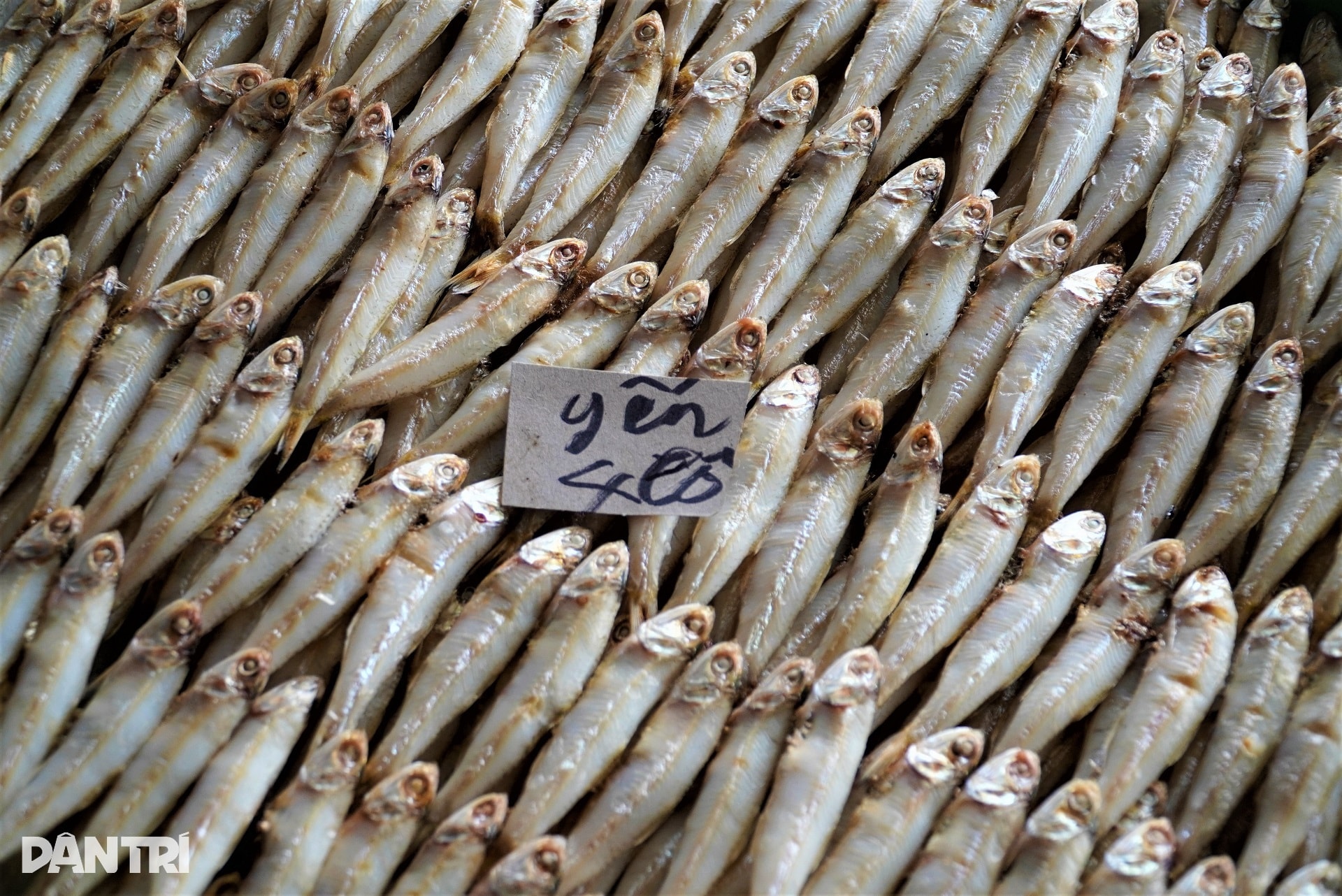 Làng nghề đỏ lửa ngày đêm, thợ thuyền mướt mồ hôi giữa giá lạnh - 9