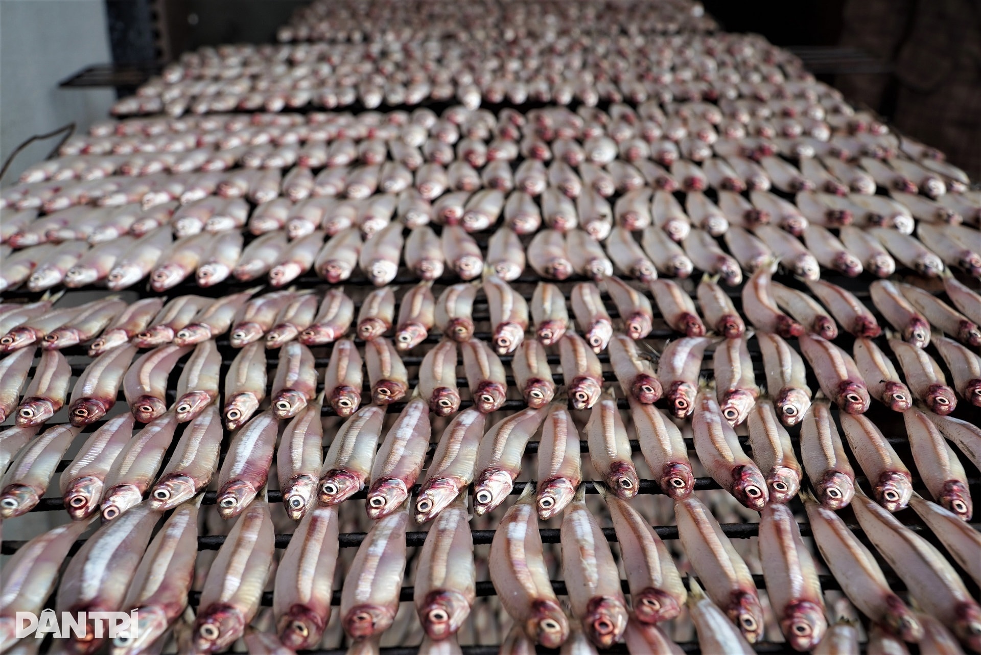 Làng nghề đỏ lửa ngày đêm, thợ thuyền mướt mồ hôi giữa giá lạnh - 5