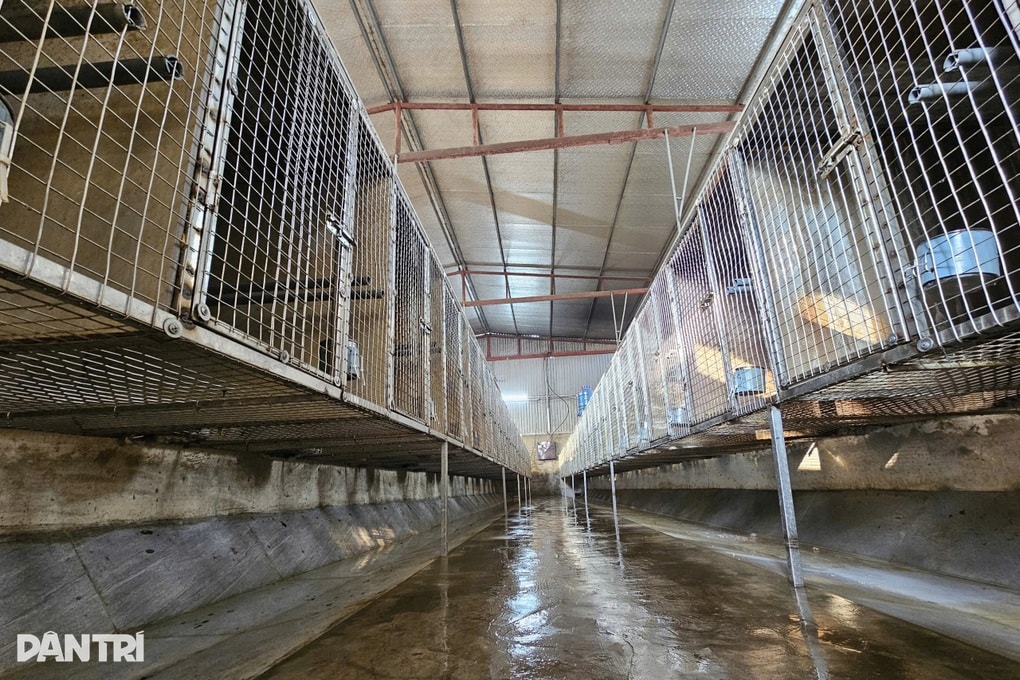 Bỏ nghề lái xe, người đàn ông đầu tư gần 1 tỷ đồng nuôi động vật hoang dã - 3