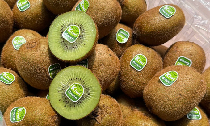 Kiwi xanh được rao bán với giá 470.000 đồng cho rổ 9.5kg tại các chợ đầu mối. Ảnh: Minh Ngọc
