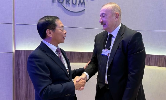 Phó thủ tướng Bùi Thanh Sơn hội kiến Tổng thống Azerbaizan Ilham Aliyev. Ảnh: Bộ Ngoại giao