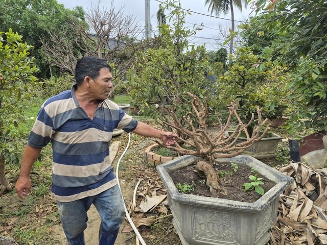 - Ảnh 6. - Ảnh 6.