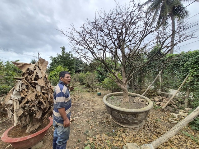 - Ảnh 5. - Ảnh 5.