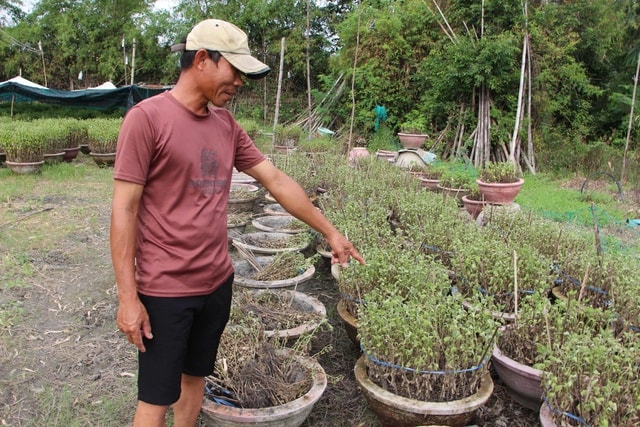 - Ảnh 7. - Ảnh 7.