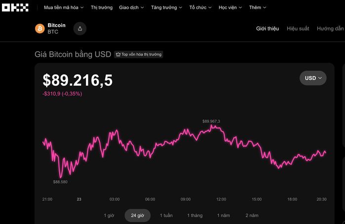 Thị trường tiền số hôm nay: Nhà đầu tư Bitcoin chấp nhận thua lỗ thay vì chốt lời - Ảnh 2.