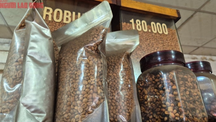 Giá cà phê hôm nay 23 - 1: Robusta giảm giá , mất mốc 100 . 000 Đồng / kg - Ảnh 2.