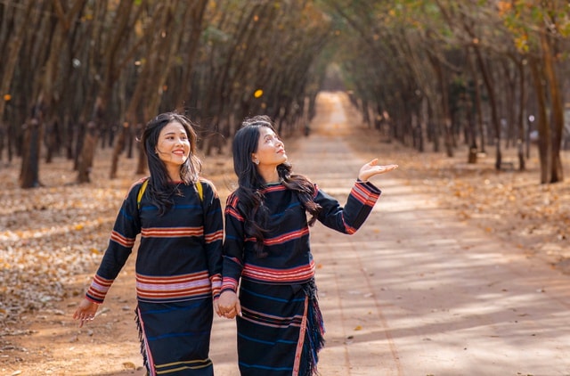 Đẹp hút hồn rừng cao su mùa thay lá ở Tây Nguyên- Ảnh 7.