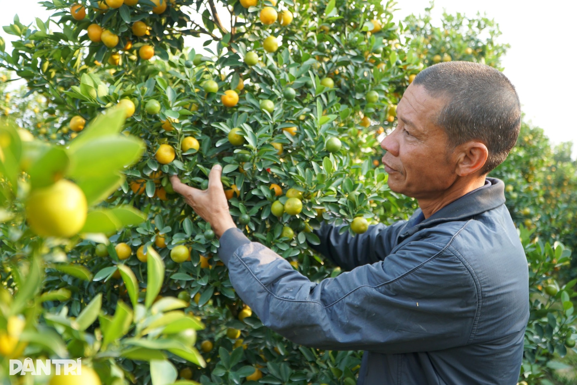 Niềm vui nơi người dân nín thở mong trời lạnh giá - 9