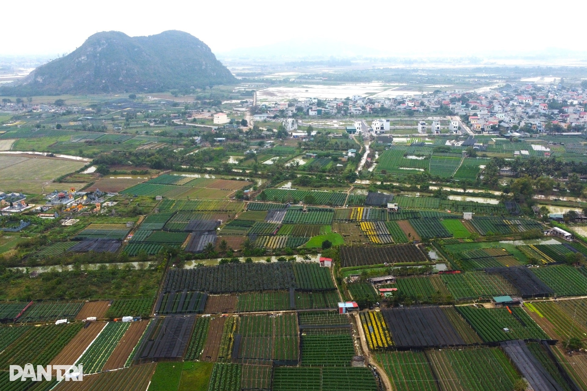 Niềm vui nơi người dân nín thở mong trời lạnh giá - 7