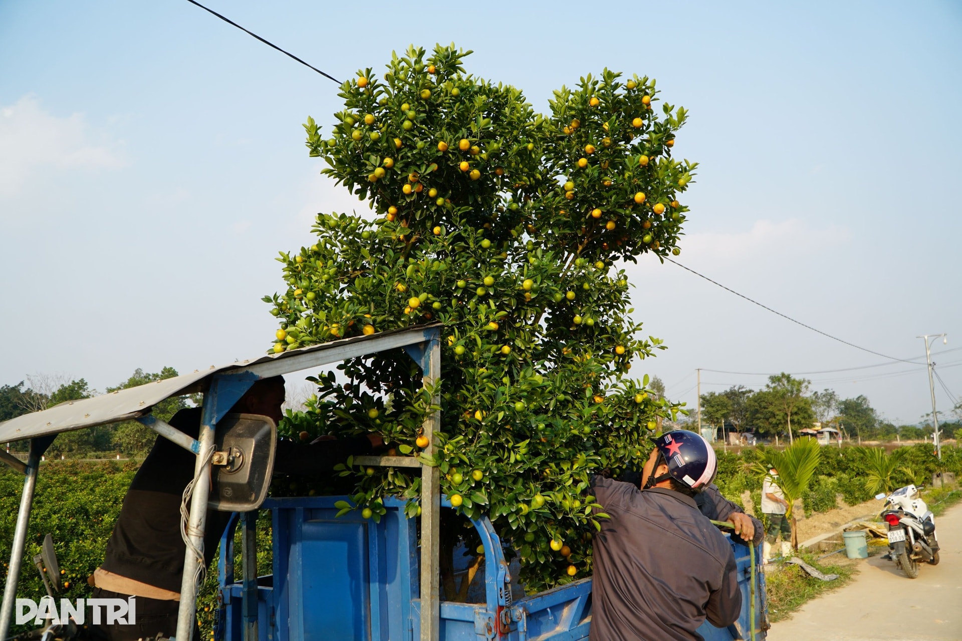 Niềm vui nơi người dân nín thở mong trời lạnh giá - 8