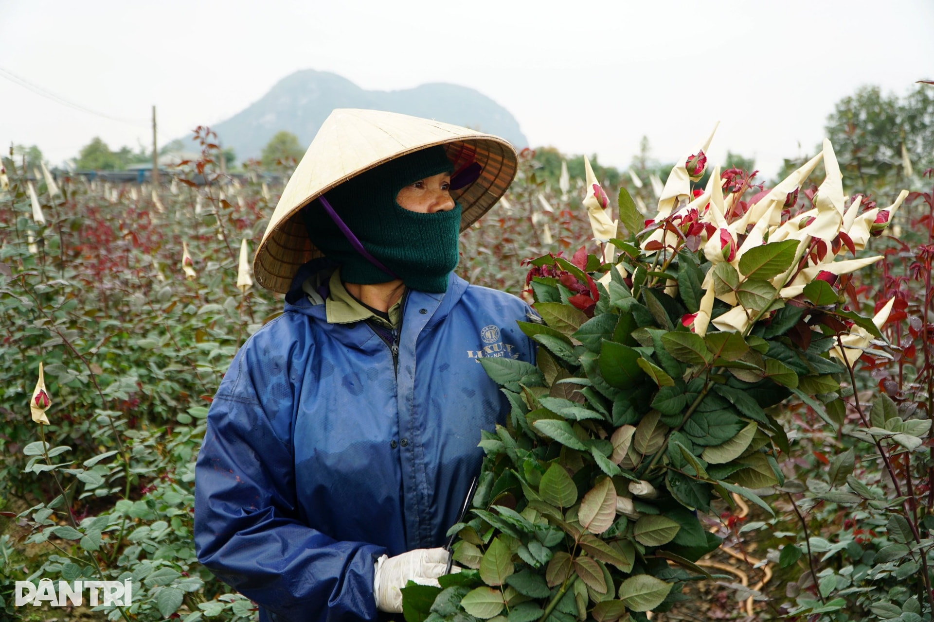 Niềm vui nơi người dân nín thở mong trời lạnh giá - 6