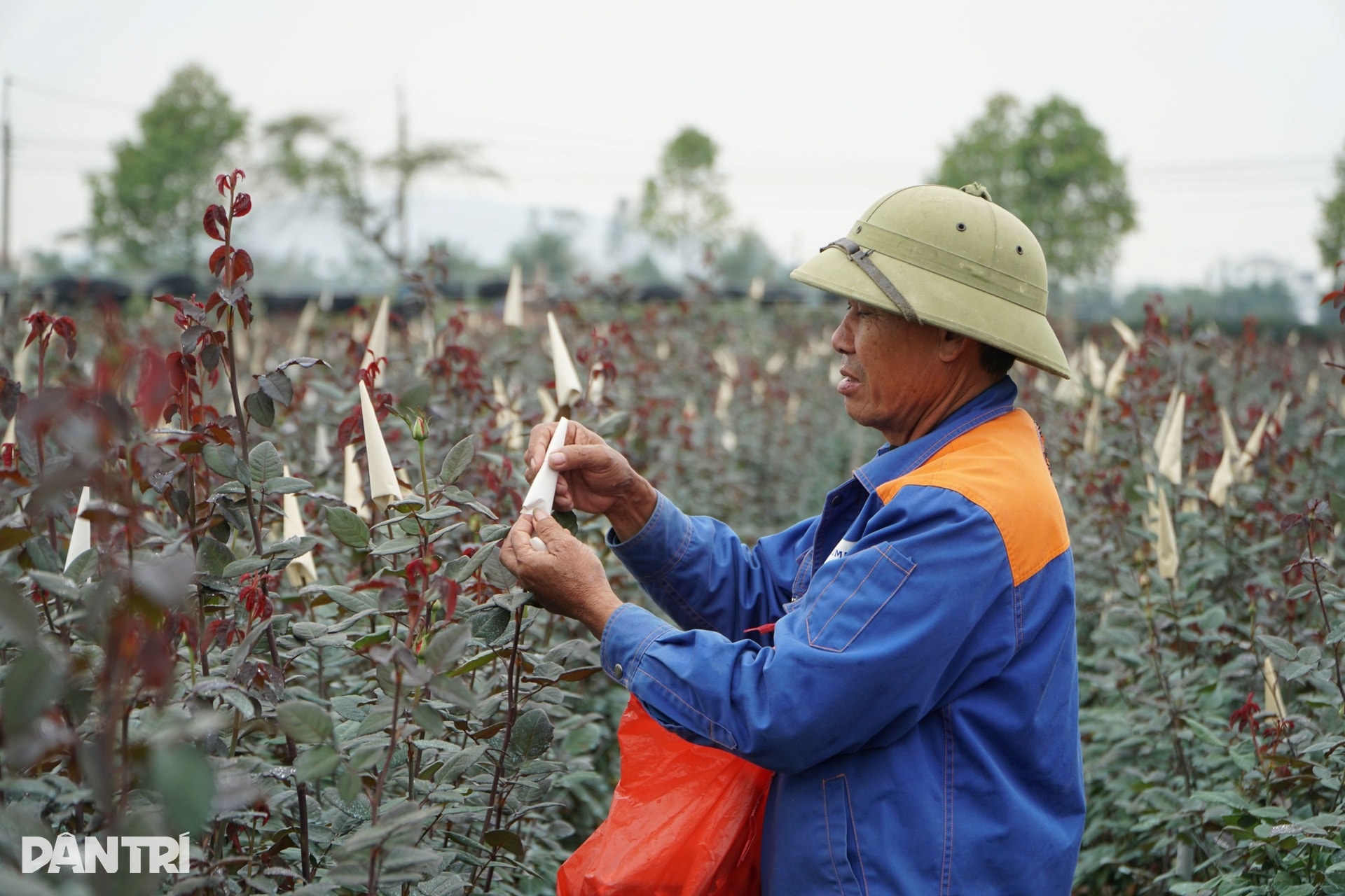 Niềm vui nơi người dân nín thở mong trời lạnh giá - 5