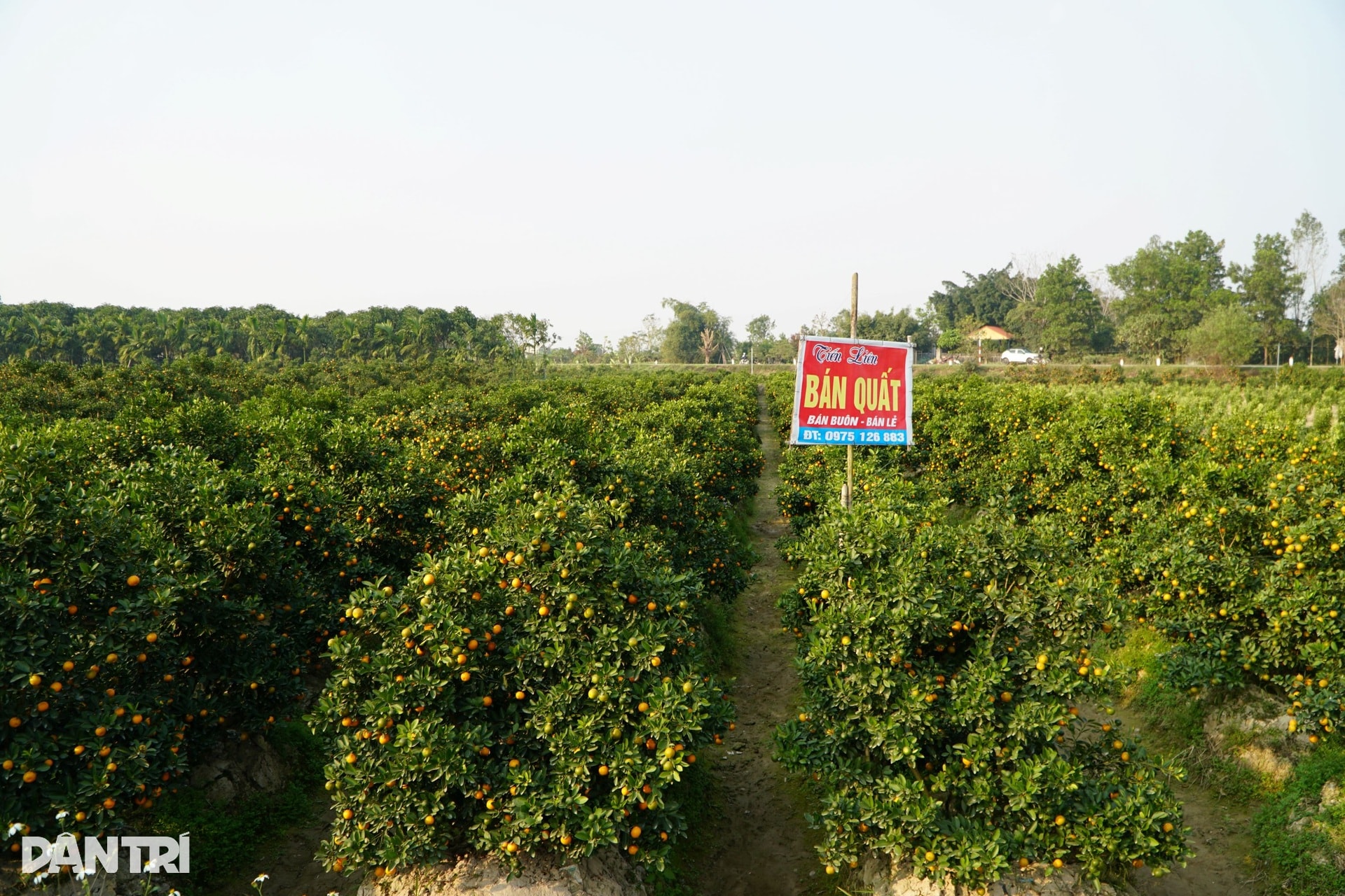 Niềm vui nơi người dân nín thở mong trời lạnh giá - 10