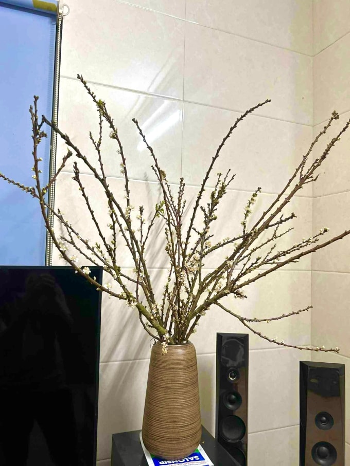 Bình mận dăm chị Lê Chi đặt trên livestream giá 10.000 đồng và miễn ship, đầu tháng 1. Ảnh: Nhân vật cung cấp