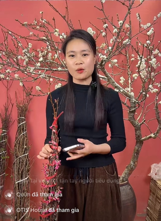 Một phiên livestream bán cành đào, mận, tối 23/1. Ảnh chụp màn hình