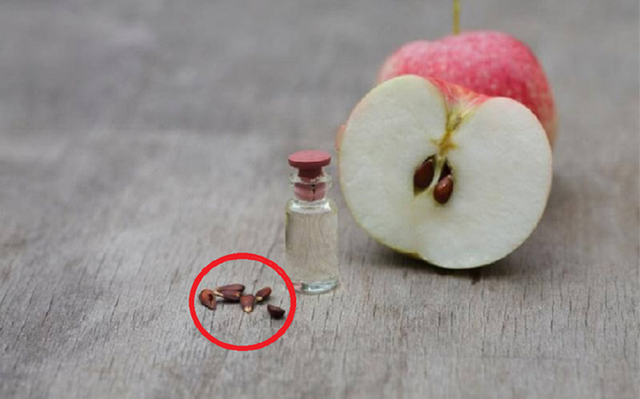 Loại quả chứa chất "kịch độc", nhất quả số 1 mâm cơm nhà nào cũng có - Ảnh 1.