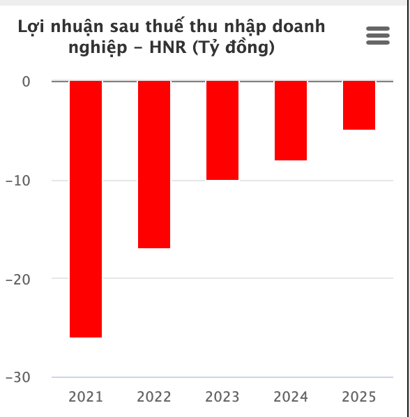 Halico thua lỗ nhưng tăng trưởng tiền gửi ngân hàng trong năm 2025 - Ảnh 1.