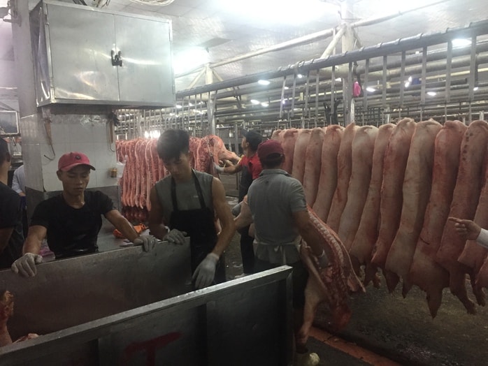 Giá heo hơi hôm nay, 24-1: Giá heo mảnh tại chợ đầu mối tăng mạnh - Ảnh 1.