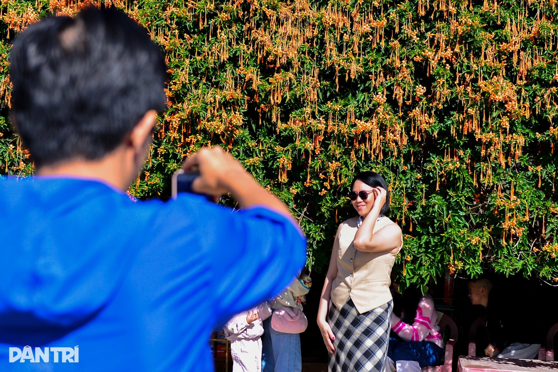 Choáng ngợp với căn nhà phủ kín hoa xác pháo ở Lâm Đồng - 9